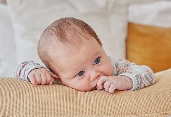 happy-little-moments-2026-001